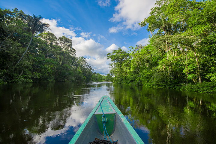 Eucaylptus honey from Ecuador - photo of canoe on river landscape - Schullo