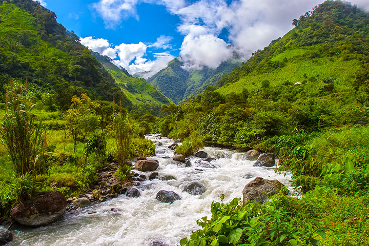 Coffee grown in Ecuador - photo of mountains and streams -Schullo