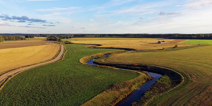 Organic oat bran from Finland - photo of fields of grain - Schullo