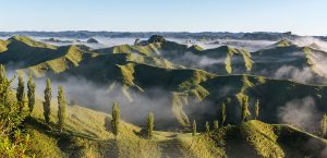 Landscape from the Tahora Saddle in Taranaki, New,Zealand