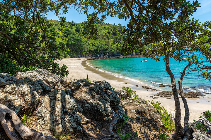Waiheke Island