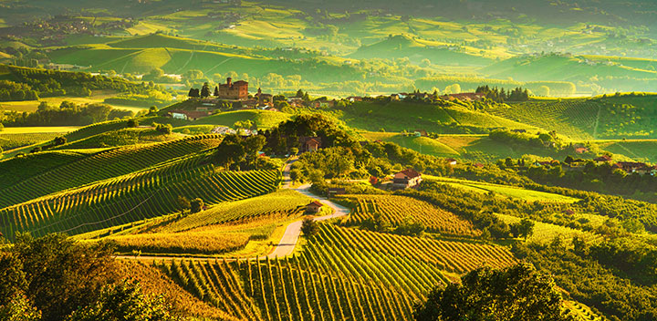 Maccheroni from Italy - photo of fields and hills - Schullo