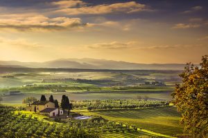 Food grown in Italy - photo of fields and mountains - Schullo