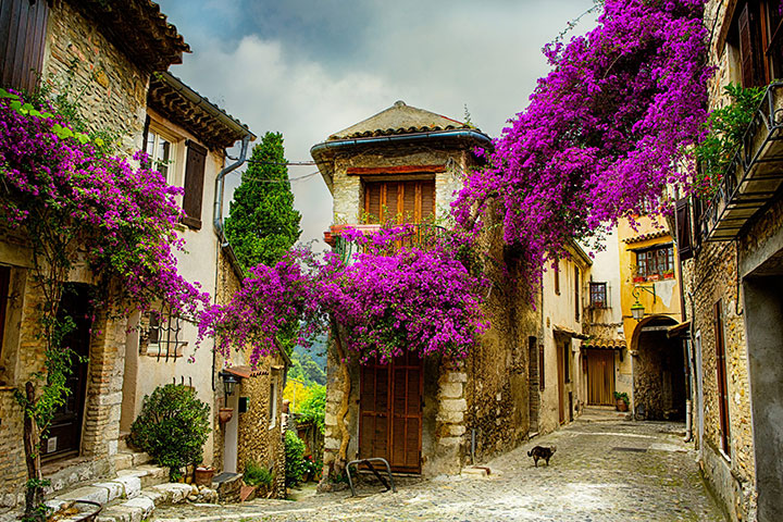 Photo - Provence region of southern France - French Jelly Candies