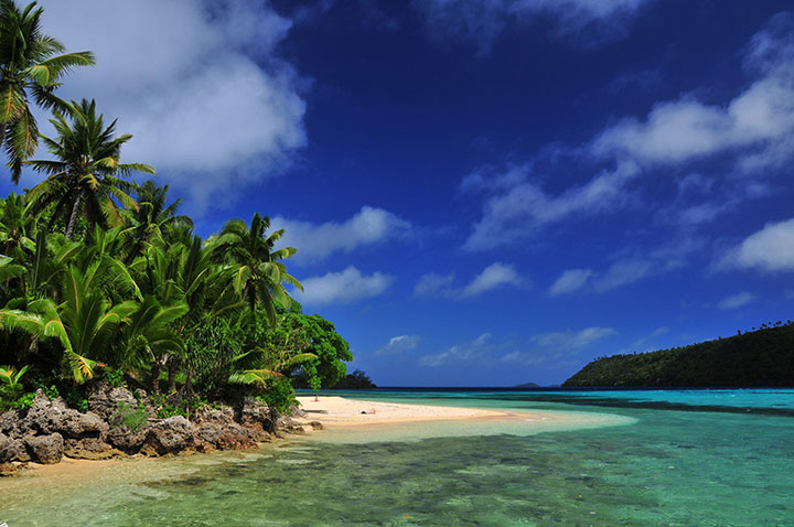 Photo of Tonga - where Heilala pure vanilla paste originates