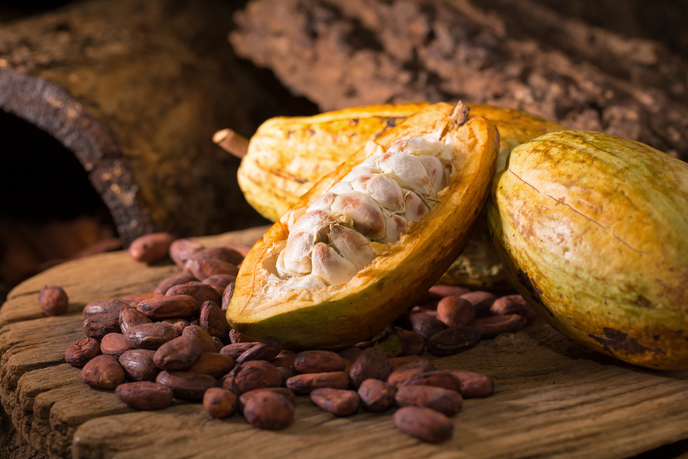 Ripe cacao pod and dried cacao beans.