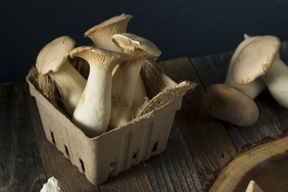 Trumpet mushrooms in basket