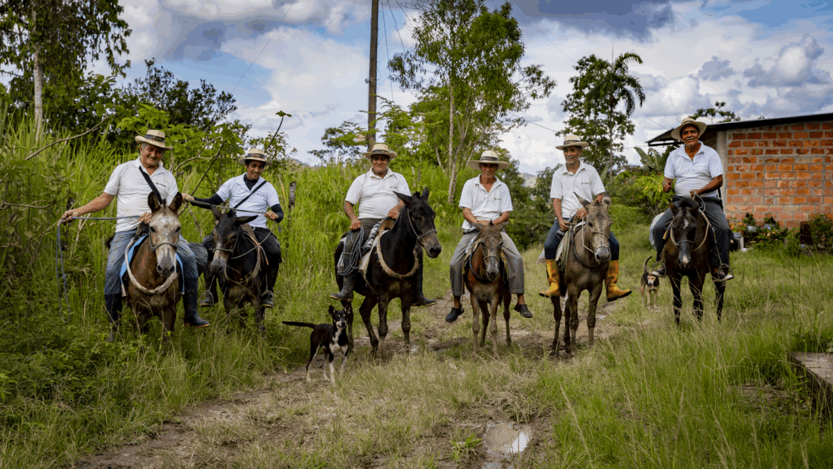 Toak farmers on mules and horses