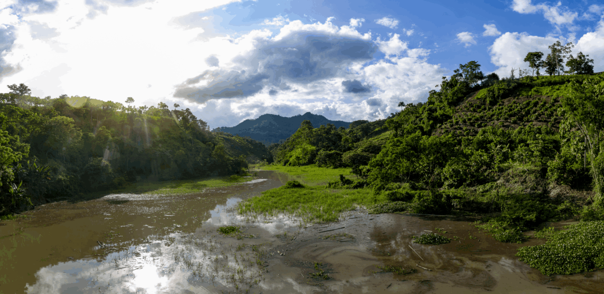Piedra de la Plata region of Ecuador