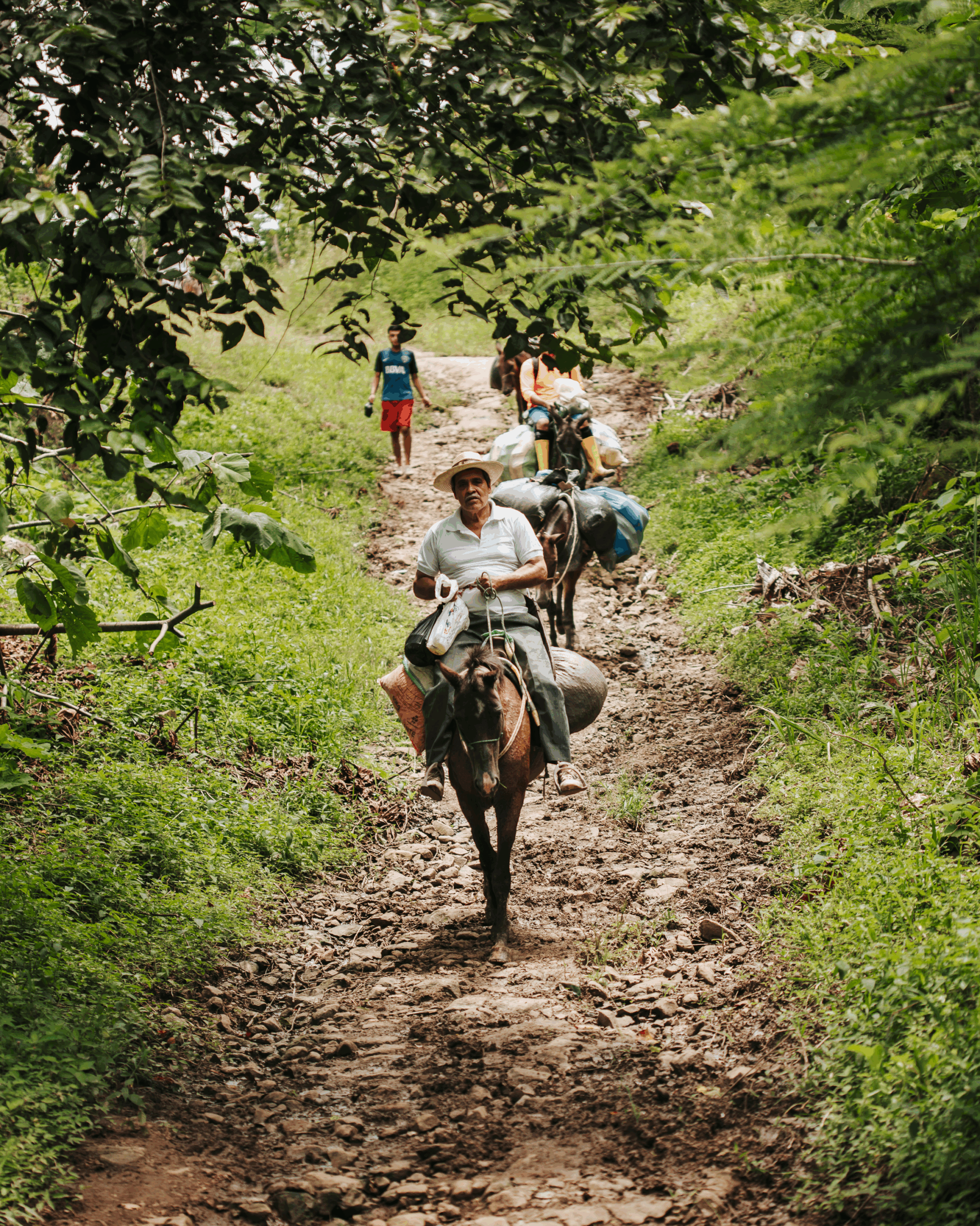 To'ak farmers riding at hacienda